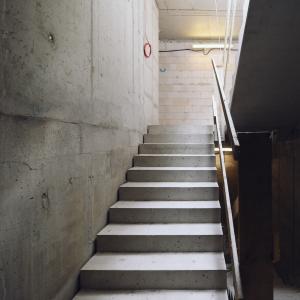 Zdjęcie 6