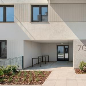 Zdjęcie 6